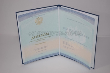 Диплом Техникума 2023г СпецБланк в Майкопе