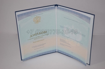 Диплом Техникума 2022г СпецБланк в Майкопе
